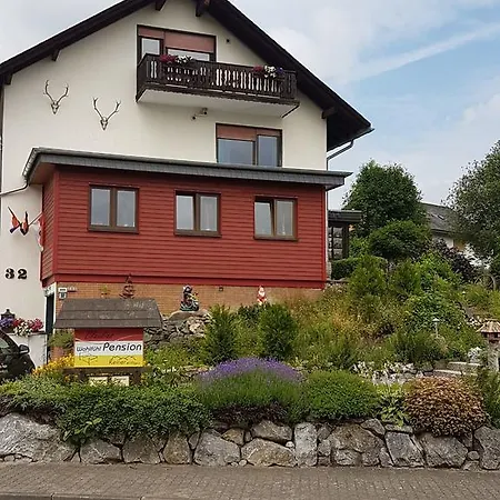 Guest house Claudias Wohlfuhlpension Willingen (Upland)